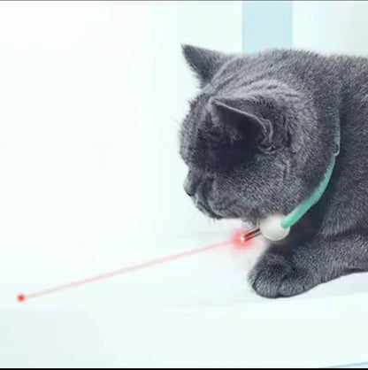 Le collier laser accroché "LaserLeash"