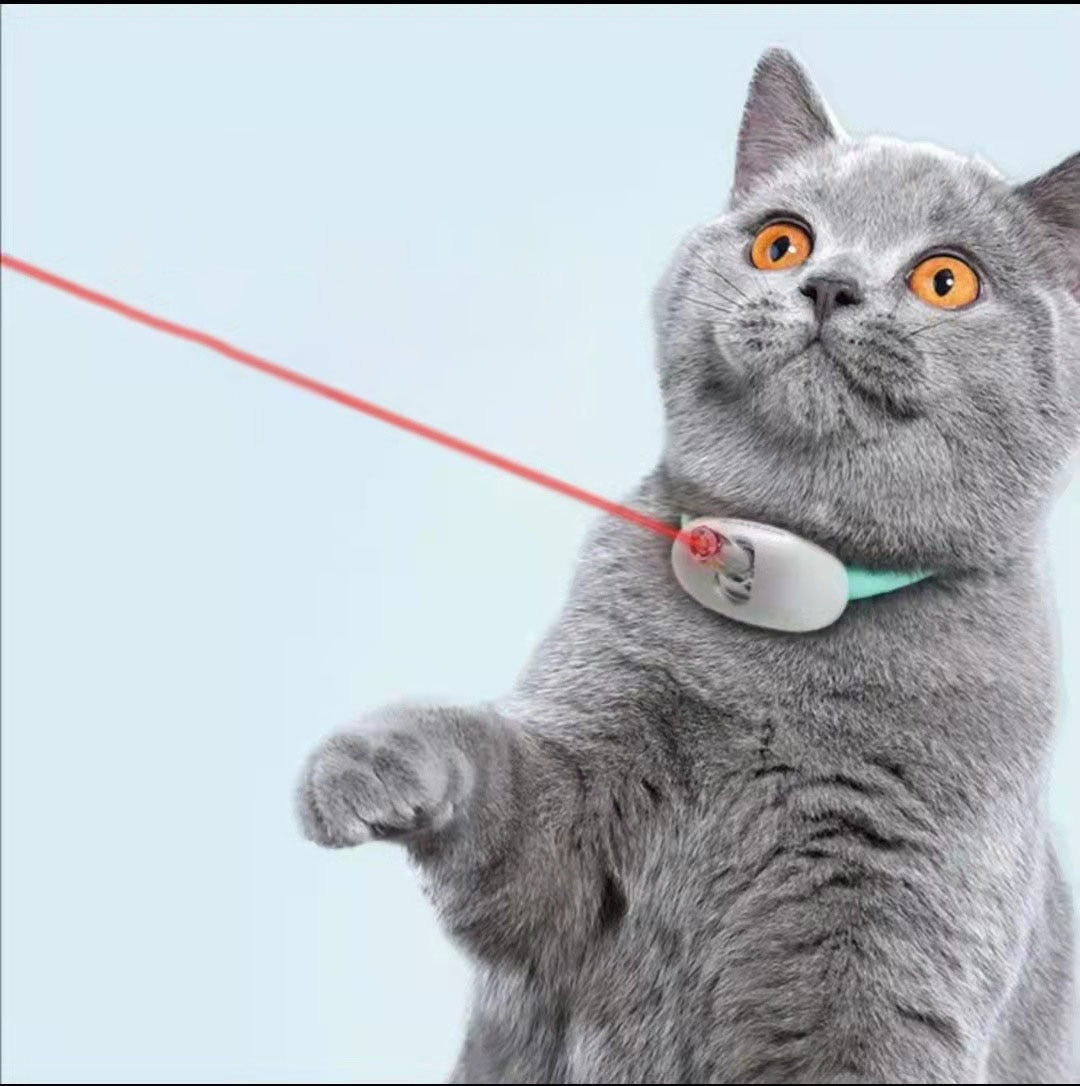 Le collier laser accroché "LaserLeash"